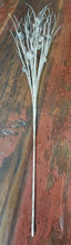 Load image into Gallery viewer, Snowy Birch Twig Spray