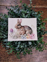 Load image into Gallery viewer, Spring Bunny Canvas Print