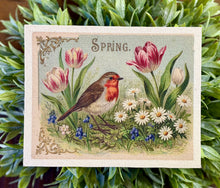 Load image into Gallery viewer, Vintage Postcard Bird Canvas - 2 Sizes