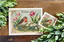 Load image into Gallery viewer, Vintage Postcard Bird Canvas - 2 Sizes