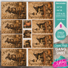 Load image into Gallery viewer, Frog &amp; Owl Gang Sheet B CA26-06