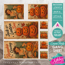 Load image into Gallery viewer, Jack-O-Lantern Gang Sheet A CA26-06