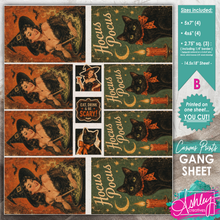 Load image into Gallery viewer, Witch &amp; Black Cat Gang Sheet B CA26-06