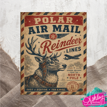 Load image into Gallery viewer, Polar Air Mail CA26-09