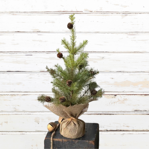 Greenup Pine Tree w Cones | 18"