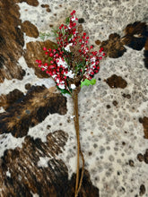 Load image into Gallery viewer, Snow Cranberry Spray 33.5" (Red/White)