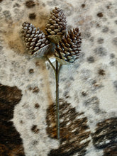Load image into Gallery viewer, Washed Pinecone Pick