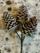 Load image into Gallery viewer, Washed Pinecone Pick